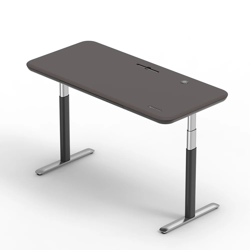All-in-One Standing Desk