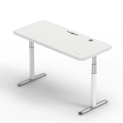All-in-One Standing Desk