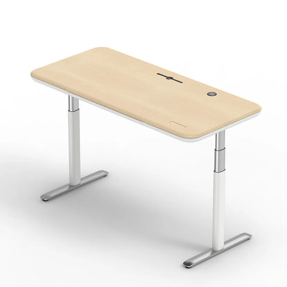 All-in-One Standing Desk